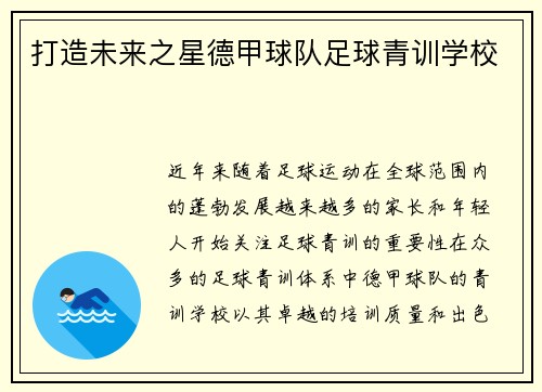 打造未来之星德甲球队足球青训学校